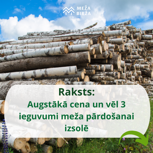 https://mezabirza.lv/lv/jaunumi/tava-meza-augstaka-cena-nedelas-laika-4-ieguvumi-ja-pardod-mezu-vai-cirsmu-izsole