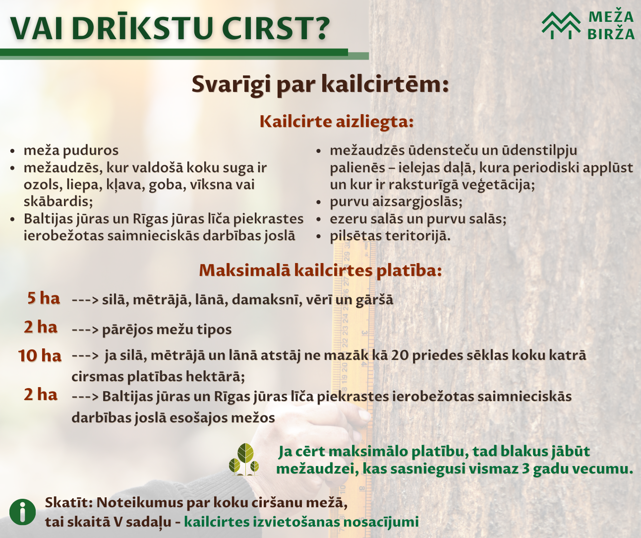 Kailcirtes - nosacījumi un ierobežojumi. Noteikumi par koku ciršanu mežā
