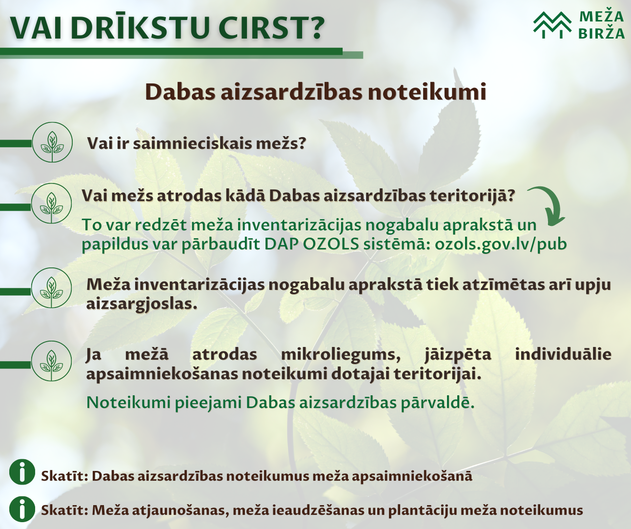 Dabas aizsardzības noteikumi mežu apsaimniekošanā