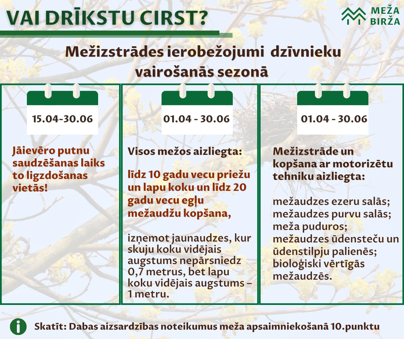 Putnu liegums mežā. Mežizstrādes ierobežojumi dzīvnieku vairošanās sezonā. Infografika un ierobežojumu kalendārs