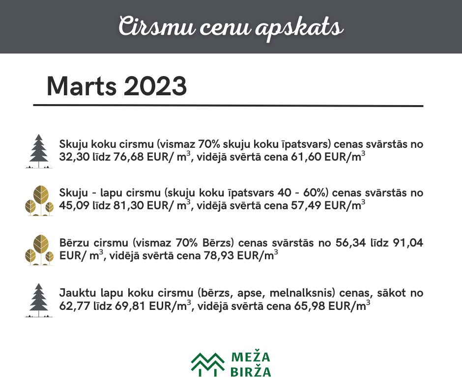 statistika-marts