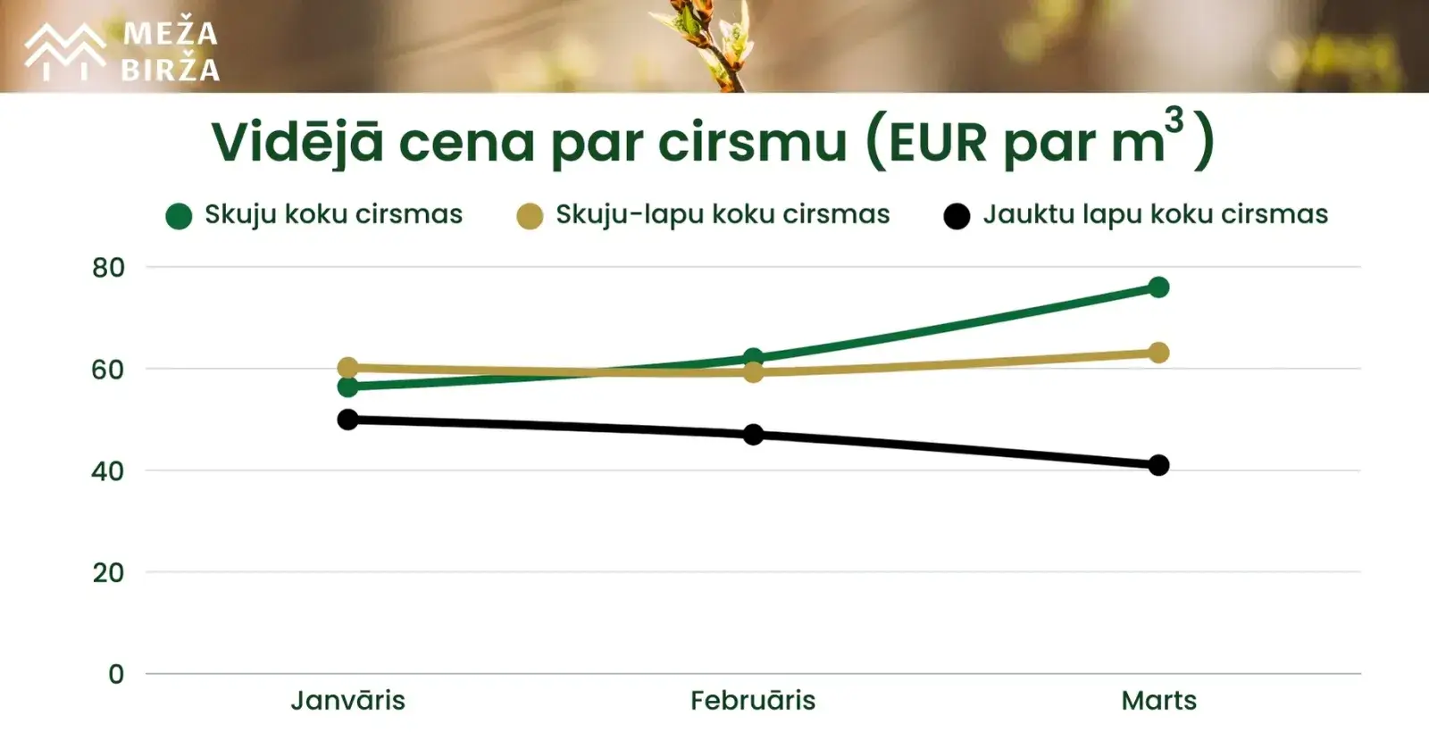 cirsmu cenas meža birža marts 2025