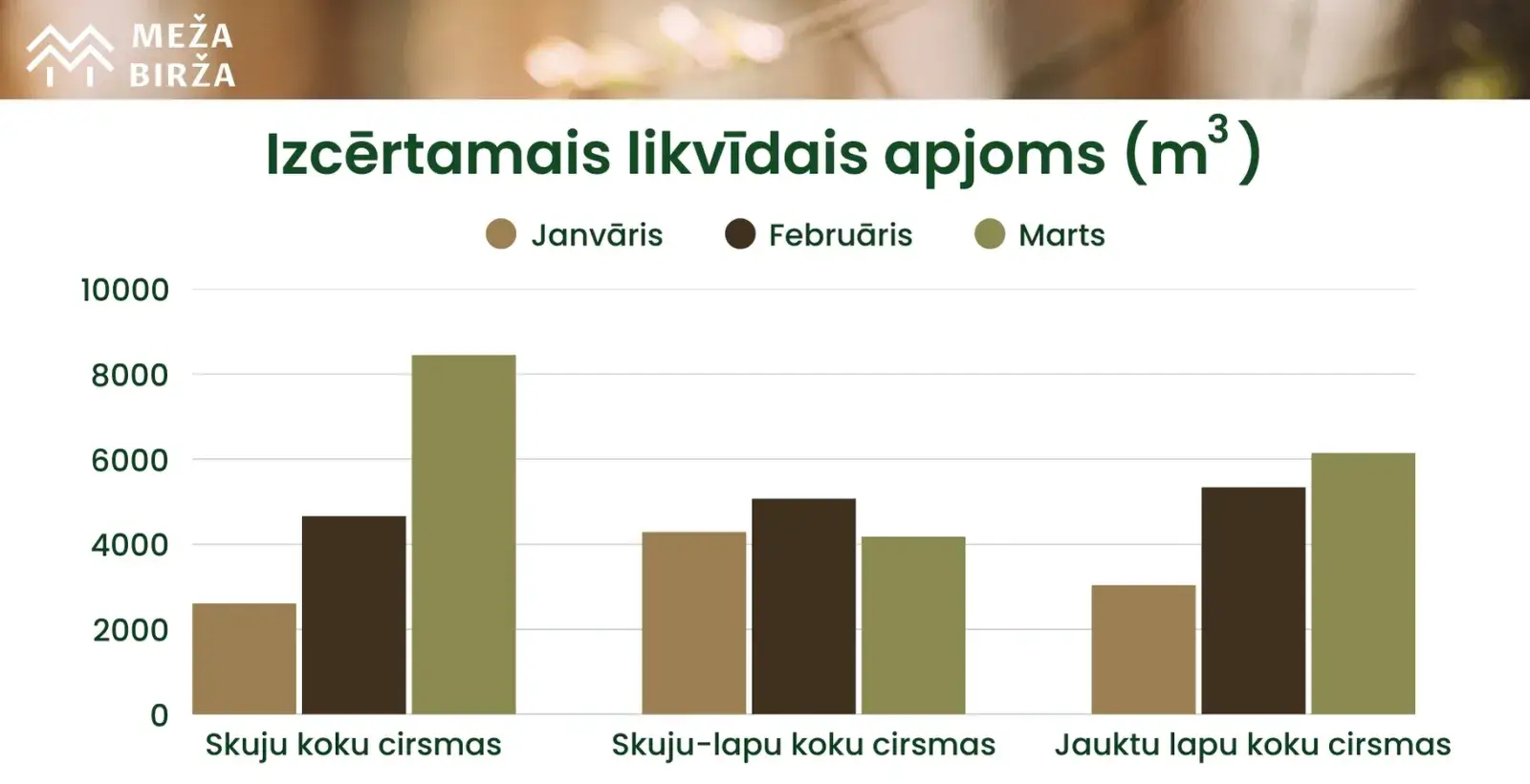 cirsmu cenas meža birža marts 2025