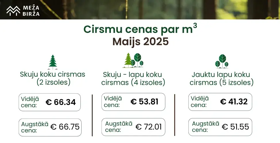 Cirsmu cenas par maiju