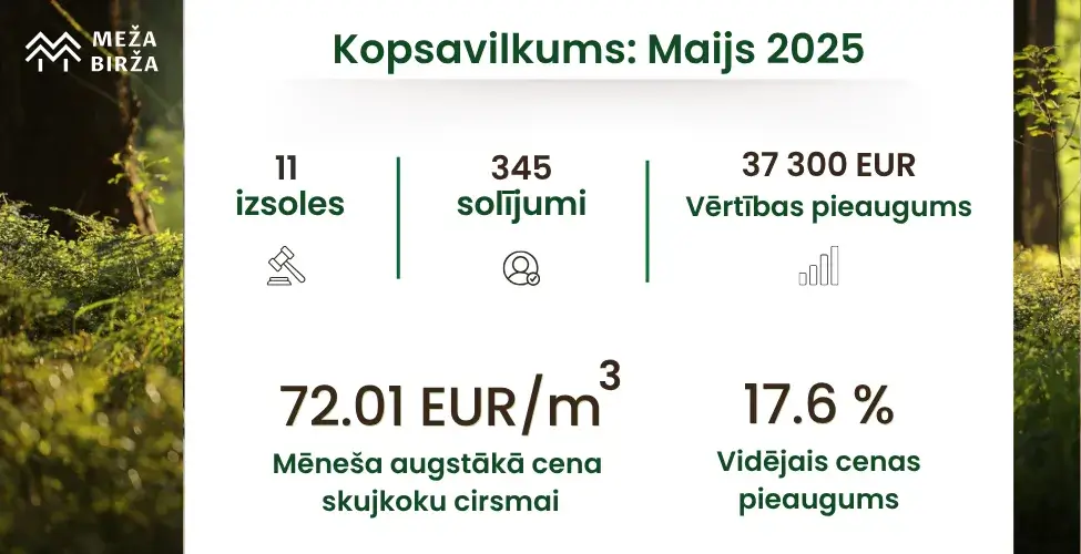 Kopsavilkums par maiju