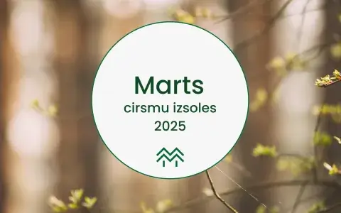 cirsmu cenu statistika meža birža 2025 marts