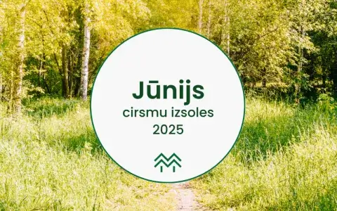 Jūnija cirsmu cenas Meža Biržā