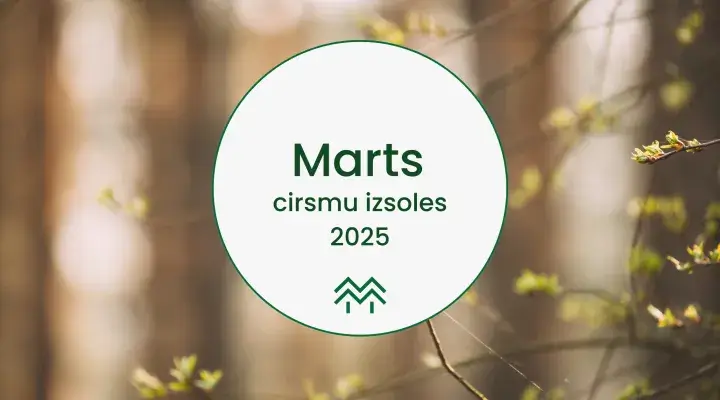 cirsmu cenu statistika meža birža 2025 marts