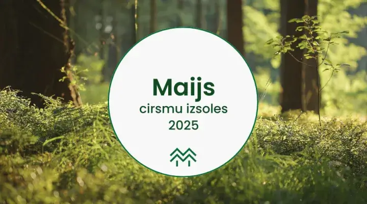 Maija cirsmu cenas Meža Biržā