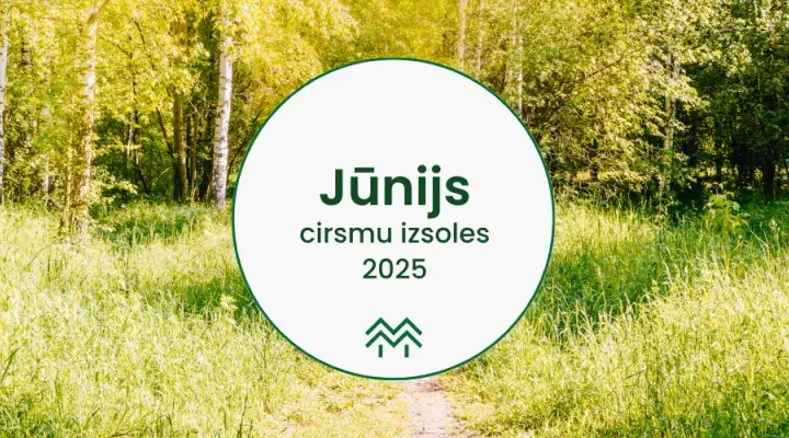 Jūnija cirsmu cenas Meža Biržā